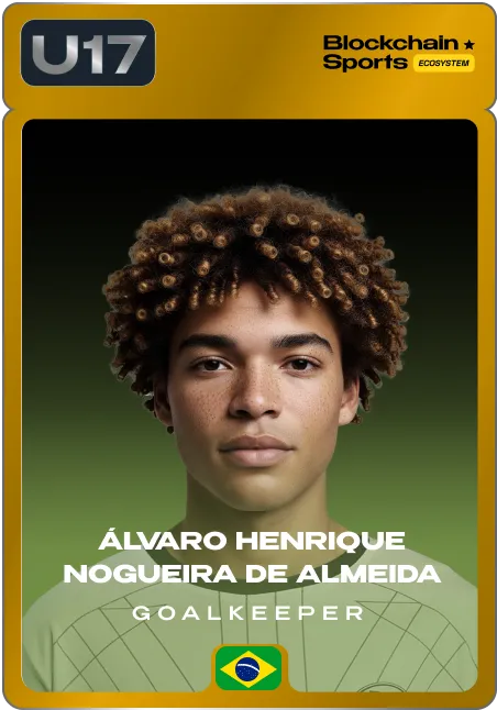 Álvaro Henrique Nogueira de Almeida